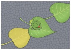Ͱ׌˿옷(l)Ͱɫ